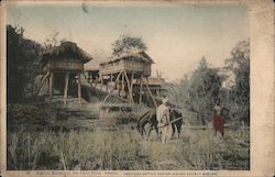 Native Houses in the Garo Hills Postcard