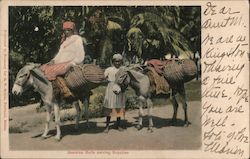 Jamaica bells carring suplies Postcard