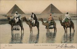 Troupe of Camels and Pyramids Postcard