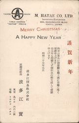 Merry Christmas A Happy New Year Postcard