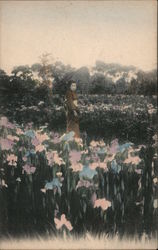 Japanese Girl with Umbrella in a Field of Iris Postcard Postcard Postcard
