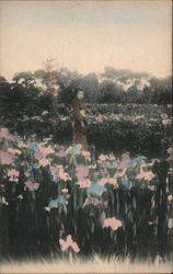 Japanese Girl with Umbrella in a Field of Iris Postcard