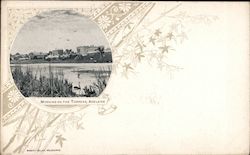 Morning on the Torrens Postcard