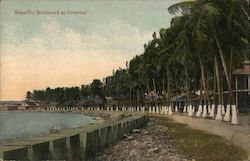 Beautiful Boulevard at Cristobal Postcard