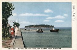 Sarushima (Monkey Island) from the Mikasa Park Postcard