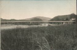 Bridge Scene Postcard