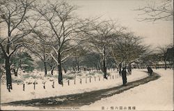 Snow Scene in the Park Postcard