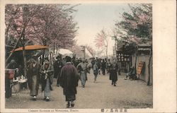 Cherry Blossom at Mukojima, Tokyo Postcard