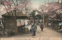 Cherry blossoms in Tokyo Postcard