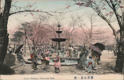 Cherry Blossom, Yokohama Park Postcard