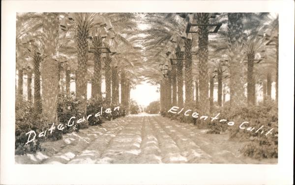 Date Garden El Centro California