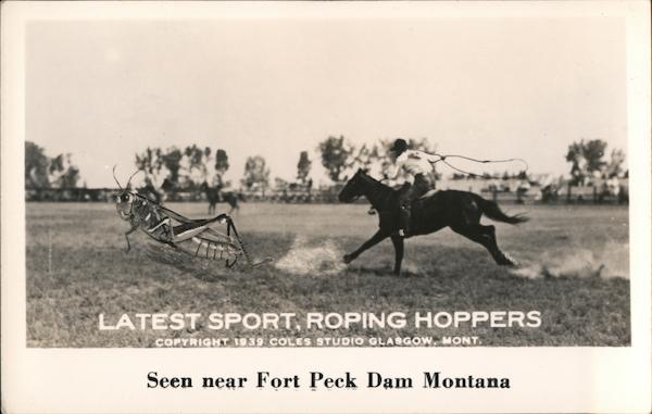 Latest Sport, Roping Hoppers Glasgow Montana