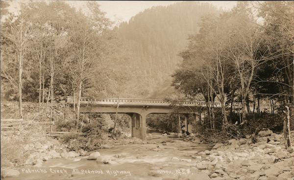 Patrick's Creek on the Redwood Highway Gasquet California