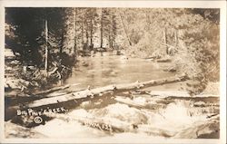 Big Pine Creek Log Jam California Postcard Postcard Postcard