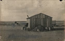 Rare Squatter's Shanty, Buffalo Chip Pile Kansas Hal Reid Postcard Postcard Postcard