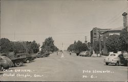 Calle Guerrero Postcard
