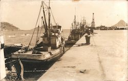 Malecón de Mazatlán - Fishing Boats Postcard