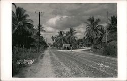 Calle Hidalgo Postcard
