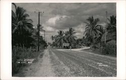 Calle Hidalgo San Blas, Mexico Herrera Postcard Postcard Postcard