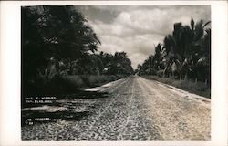 Calz. M. Hidalgo San Blas, Mexico Postcard Postcard Postcard