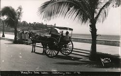 Man in Horse Cart Postcard