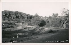 Camino A San Blas, Mexico Rivera IC Pic. Postcard Postcard Postcard