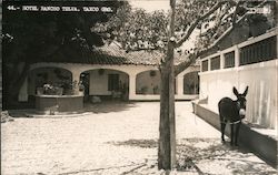 Hotel Rancho Telva, Burro Taxco, GR Mexico Postcard Postcard Postcard