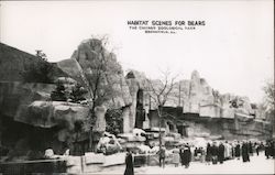 Habitat Scenes for Bears, Chicago Zoological Park Brookfield, IL Postcard Postcard Postcard