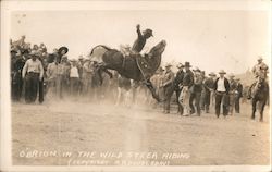 O'Brion in the Wild Steer Riding Audience Cowboy Western Postcard Postcard Postcard