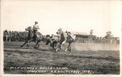 Dick Herren Bulldogging, Rodeo,1935 Rodeos Postcard Postcard Postcard