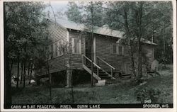 Cabin #5 at Peaceful Pines, Dunn Lake Postcard