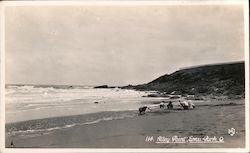 Alley Point, Emu Park, Queensland Postcard