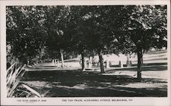 THE ROSE SERIES P. 3049 THE TAN TRACK, ALEXANDRA AVENUE, MELBOURNE, VIC Australia Postcard Postcard Postcard