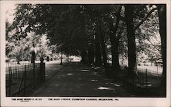 The Main Avenue, Exhibition Gardens, Melbourne, Victoria Australia Postcard Postcard Postcard