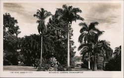 Botanical Gardens Rockhampton, Australia Postcard Postcard Postcard