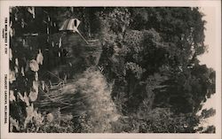 Treasury Gardens Postcard