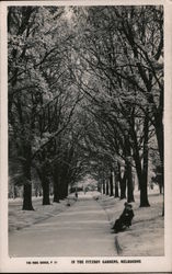 In the Fitzroy Gardens Melbourne, Australia Postcard Postcard Postcard