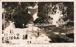 View at Central Springs Mineral Reserve Daylesford, Australia Postcard Postcard Postcard