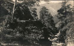 Benguet Road, K.M. 32 Postcard