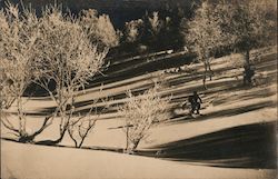 People Skiing Down a slope Postcard