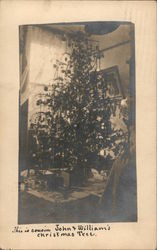 This is Cousin John & William's Christmas Tree Postcard