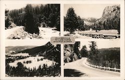 Placerville to Lake Tahoe Highway Scenes Nature Postcard
