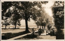In the Good Old Summertime on the Mississippi River Postcard