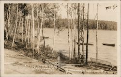 A View at Big Bass Resort Eagle River, WI Parfitt Postcard Postcard Postcard