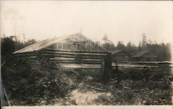 Log Cabins Postcard