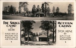 Pine Springs Camp - Route 66 Williams, AZ Postcard Postcard Postcard