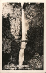 Multnomah Falls, Columbia River Highway Postcard