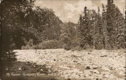 Mt. Rainier - Nisqually River Postcard