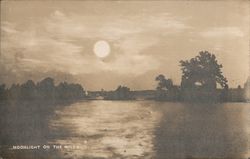 Moonlight on the Miles Moon Water Trees Postcard