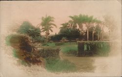 Moanalua Gardens Park, Tinted Photo Postcard
